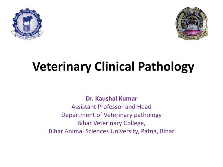 Overview of Veterinary Clinical Pathology and Importance of Anticoagulants