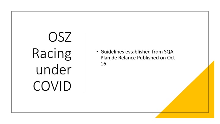 Guidelines for Running Races Under COVID Conditions