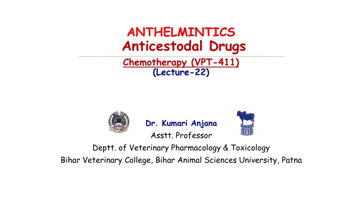 Overview of Anticestodal Drugs in Veterinary Pharmacology