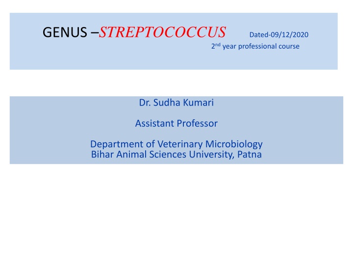 Overview of Streptococcus Bacteria and Classification
