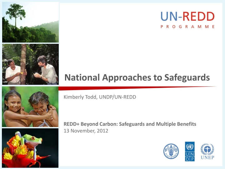 National Approaches to Safeguards in REDD+ Implementation