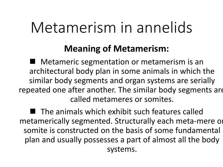 Metamerism in Annelids: Segmentation and Characteristics