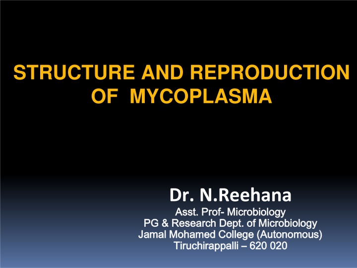 Mycoplasma: Structure, Reproduction, and Characteristics