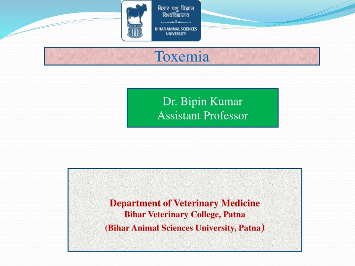 Toxemia in Veterinary Medicine