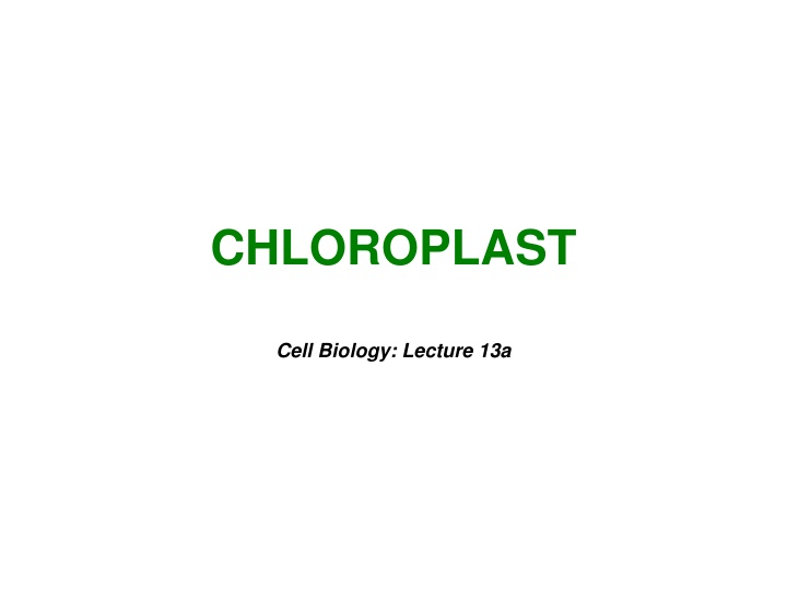 Chloroplasts in Plant Cells