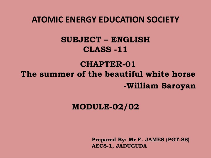 The Summer of the Beautiful White Horse - Chapter Summary