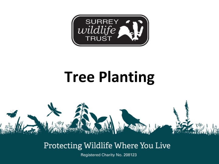 Engaging Curriculum Integration for Tree Planting Projects