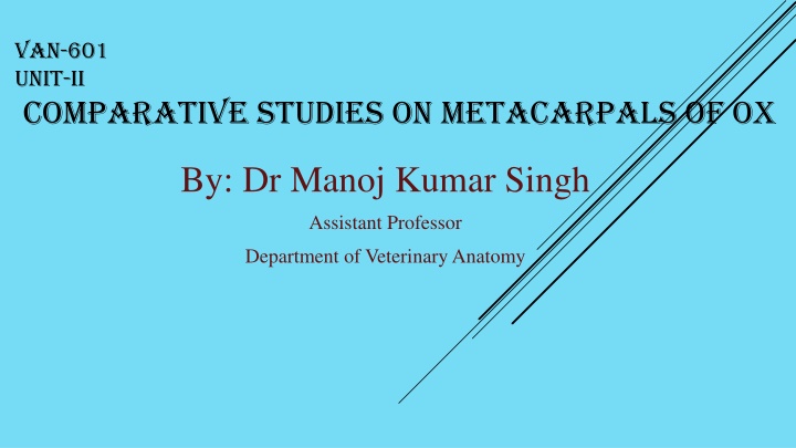 Comparative Studies on Metacarpals of Ox