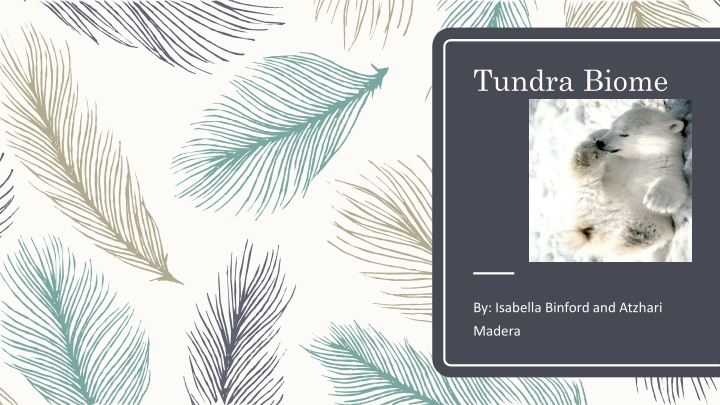 The Fascinating Tundra Biome: A Comprehensive Guide