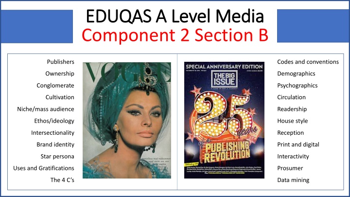 Evolution of the Magazine Industry: Trends and Challenges in Media Landscape