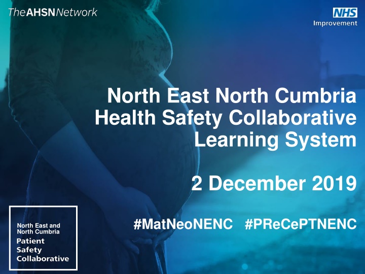 Maternity and Neonatal Safety Improvement Programme Overview