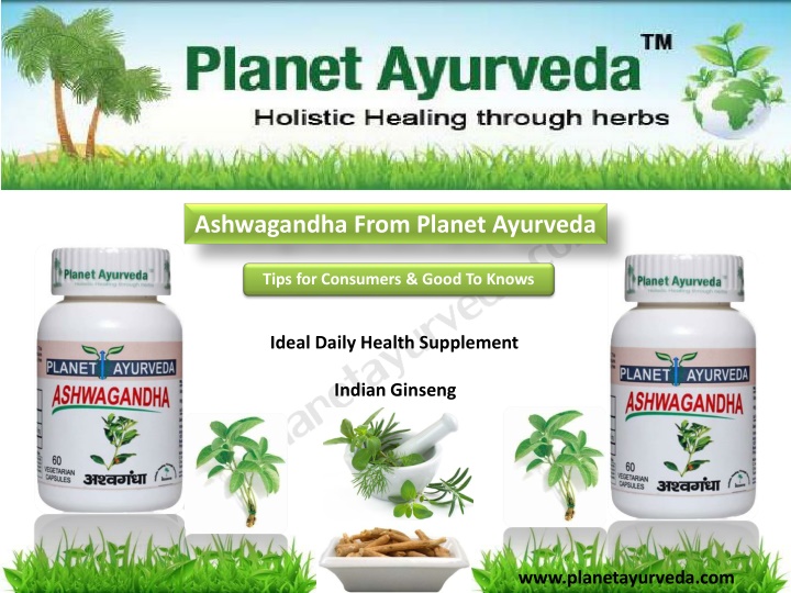 All About Ashwagandha: Benefits, Uses, and Properties