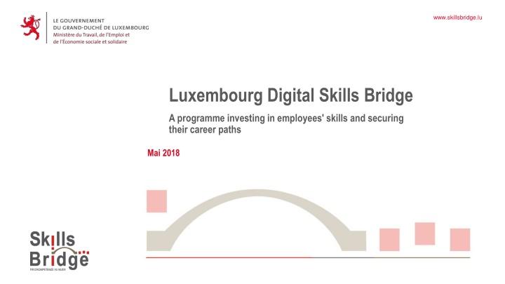 The Impact of Digital Transformation on Skills and Careers in Luxembourg