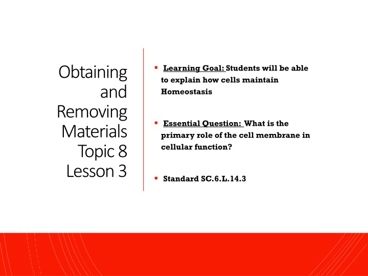 Cell Membrane: Maintaining Homeostasis in Cells