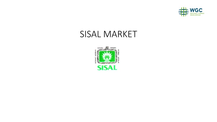Analysis of Sisal Fiber Exports and Market Trends in East Africa, Brazil, and Madagascar