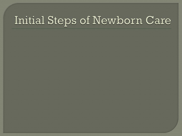 Rapid Assessment of Newborn Care: Essential Steps and Interventions