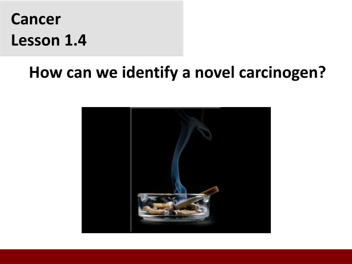 Carcinogens and Causation in Cancer Research