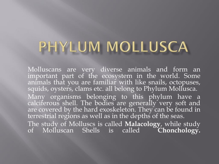 The Diverse World of Molluscs: An Overview