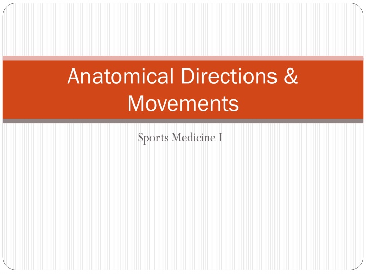 Anatomical Directions and Movements in Sports Medicine