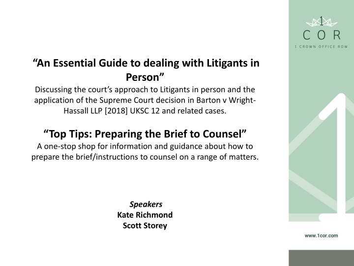 Litigants in Person: A Comprehensive Guide