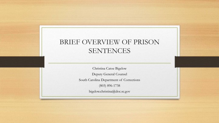 Comprehensive Overview of Prison Sentences in South Carolina