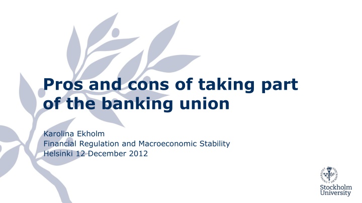 Overview of European Banking Union: Pros and Cons