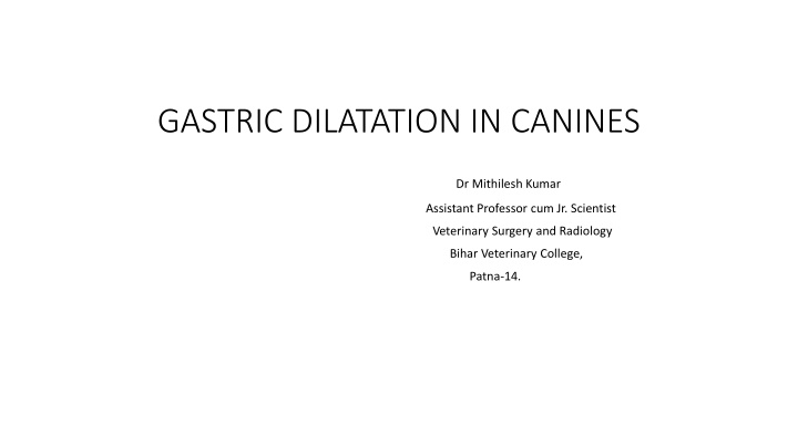 Gastric Dilatation in Canines: Causes, Symptoms, and Treatment