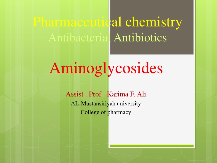Aminoglycoside Antibiotics in Pharmaceutical Chemistry