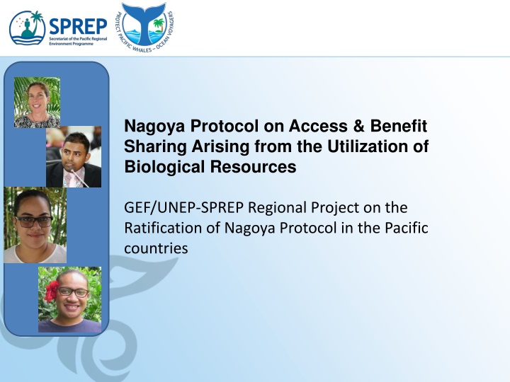 The Nagoya Protocol on Access and Benefit Sharing