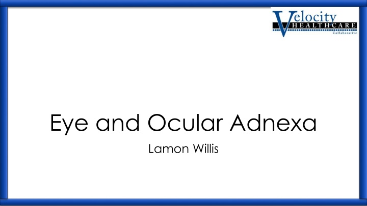 Eye Anatomy and Surgical Procedures