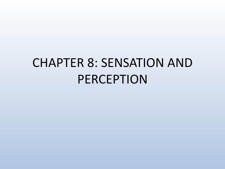 Sensation and Perception in Psychology
