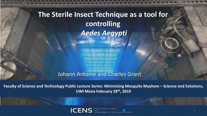 Utilizing Sterile Insect Technique for Aedes Aegypti Control