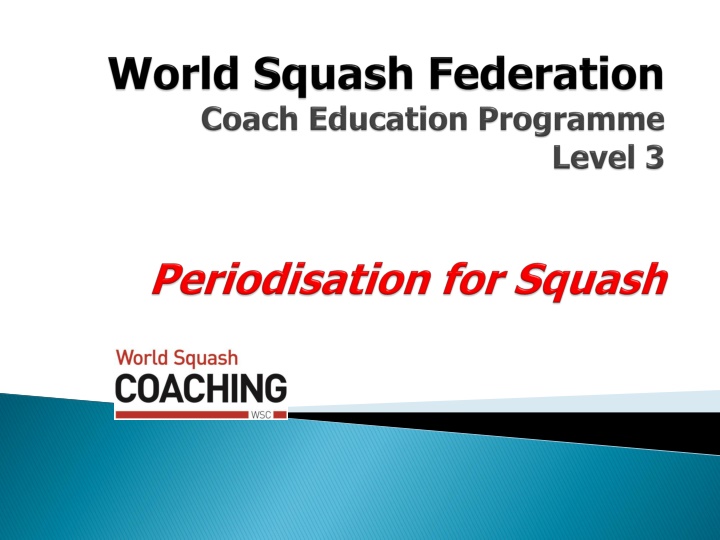 Periodisation in Sports Performance