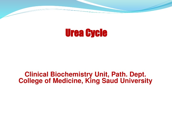 Urea Cycle: An Overview of Ammonia Detoxification and Urea Formation