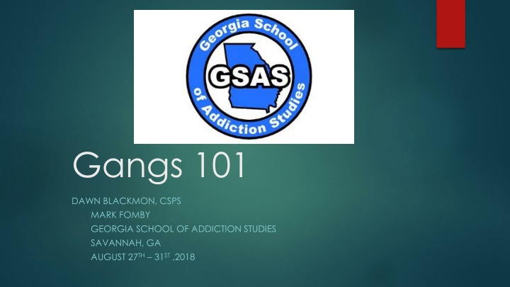 Gangs: Insights into Gang Dynamics and Influences