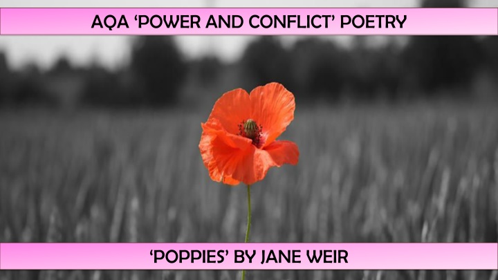 Connotations of Poppies in Jane Weir's Poem