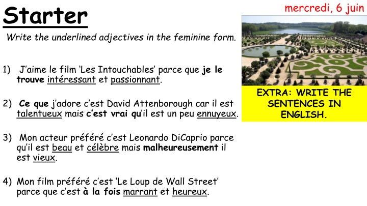 Adjective Agreement in French Grammar