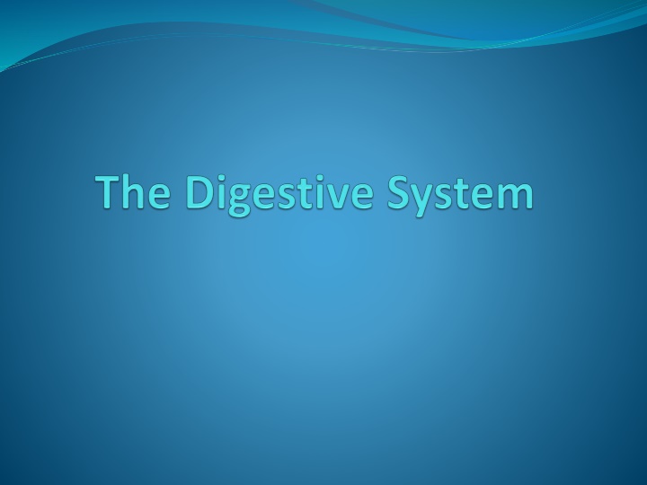 Overview of the Gastrointestinal System and Its Functions