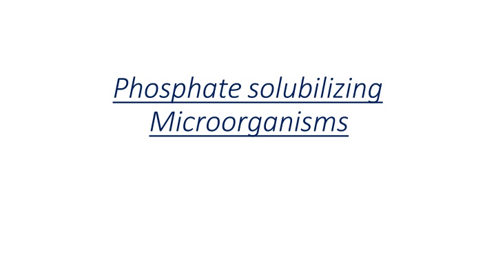 Harnessing Phosphate-Solubilizing Microorganisms for Sustainable Crop Growth