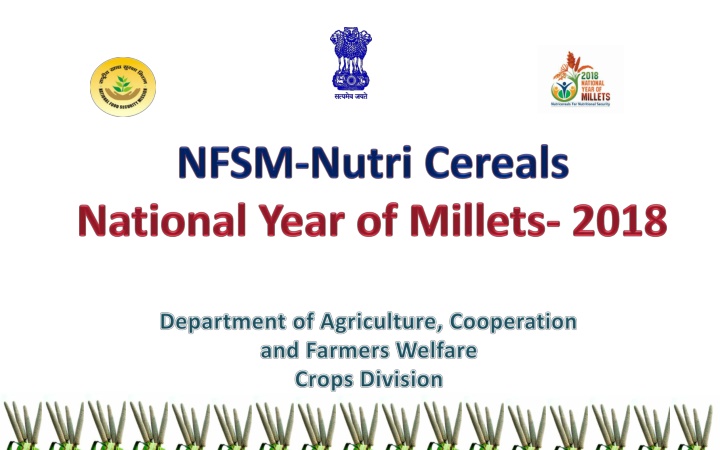 Promoting Nutri-Cereal Production in India: National Initiatives