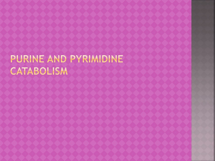 Purine and Pyrimidine Metabolism in Genetic Disorders
