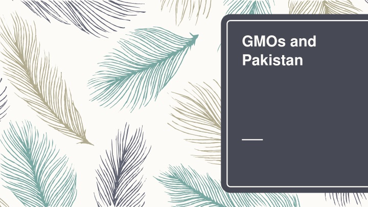 GMOs in Pakistan: Challenges and Potential in Agriculture Sector