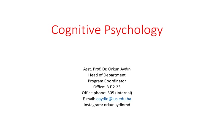 A Day in the Life: Thoughts and Actions of a Cognitive Psychology Student