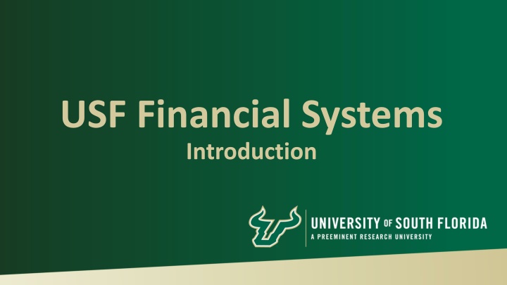USF Financial Systems and Governance
