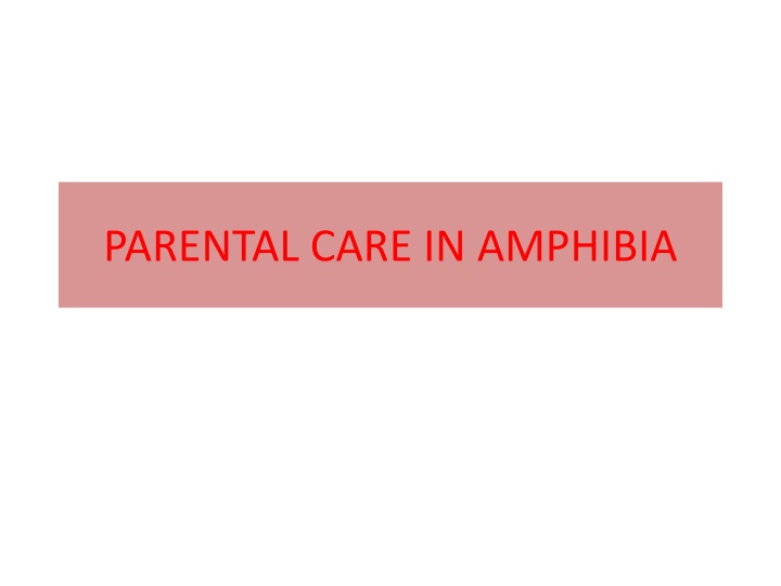 Diverse Parental Care in Amphibians - An Insightful Overview