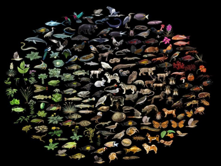 Evolution of Cell Theory: From Observations to Modern Understanding