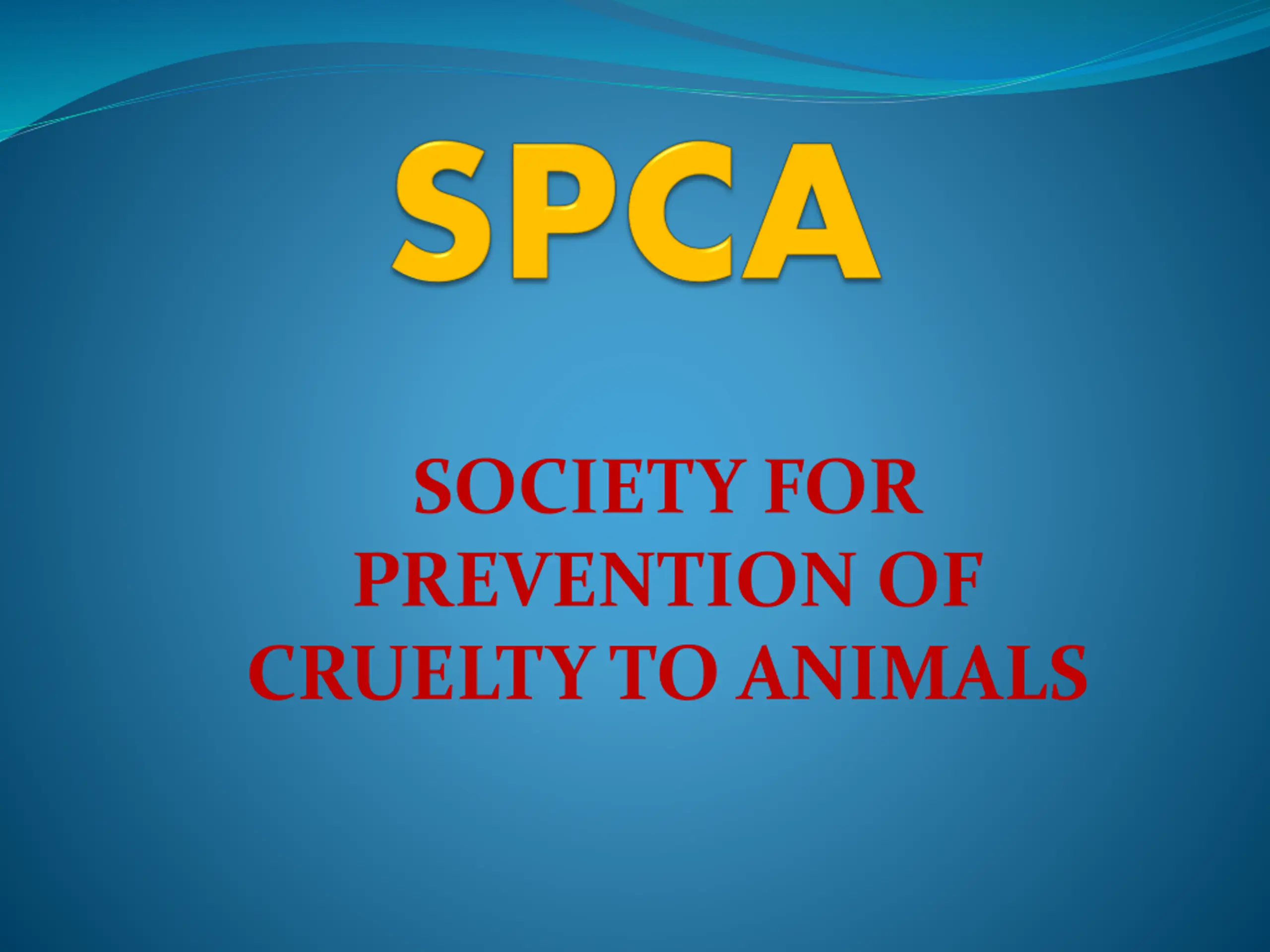 Animal Welfare Measures and Roles in Society