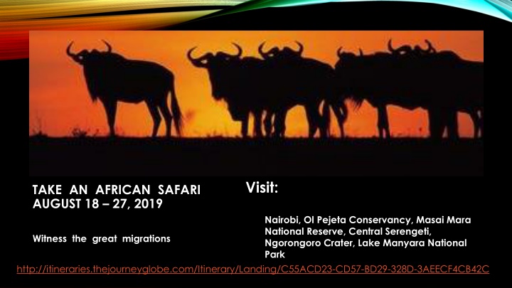 Kenya and Tanzania: African Safari and Dental Education
