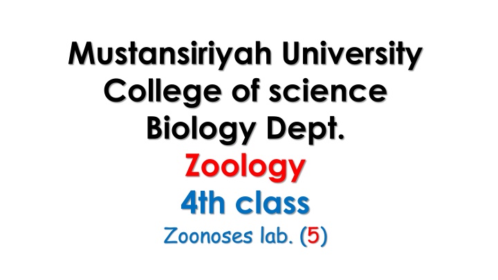 Dermatomycosis and Dermatophytes in Zoology