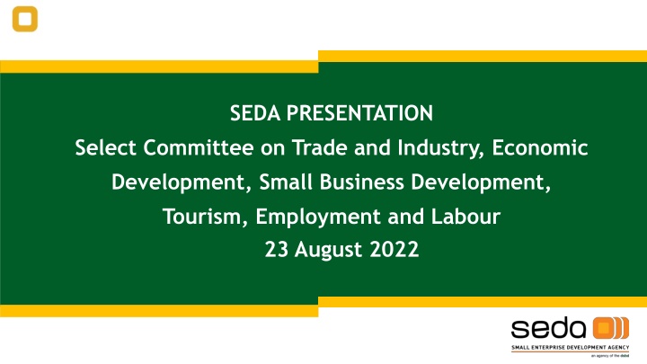 Overview of Seda Programs Supporting Small Enterprises